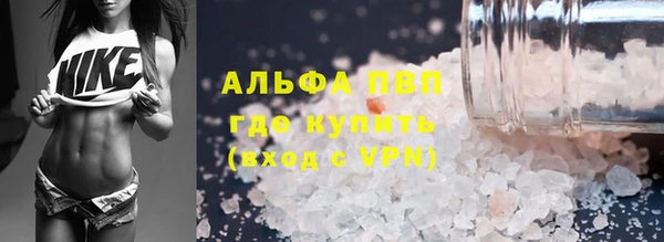 прущие грибы Алексин