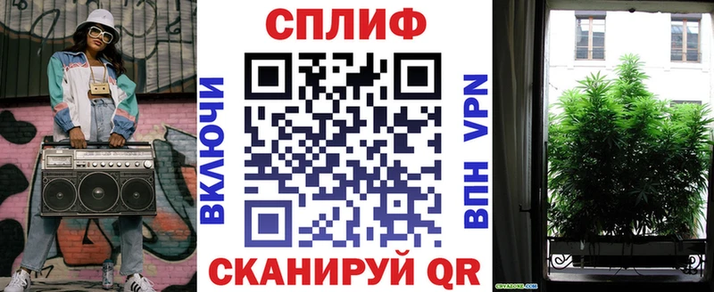 где найти кракен зеркало Бошки марихуана планчик Зеленокумск